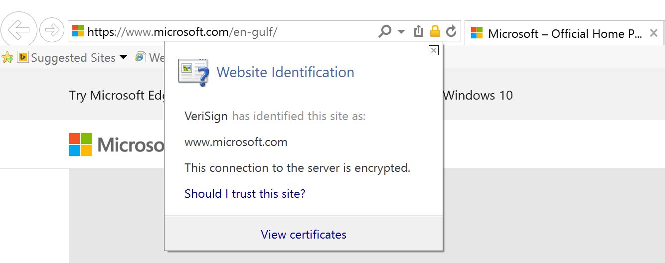 Очистить ssl в explorer